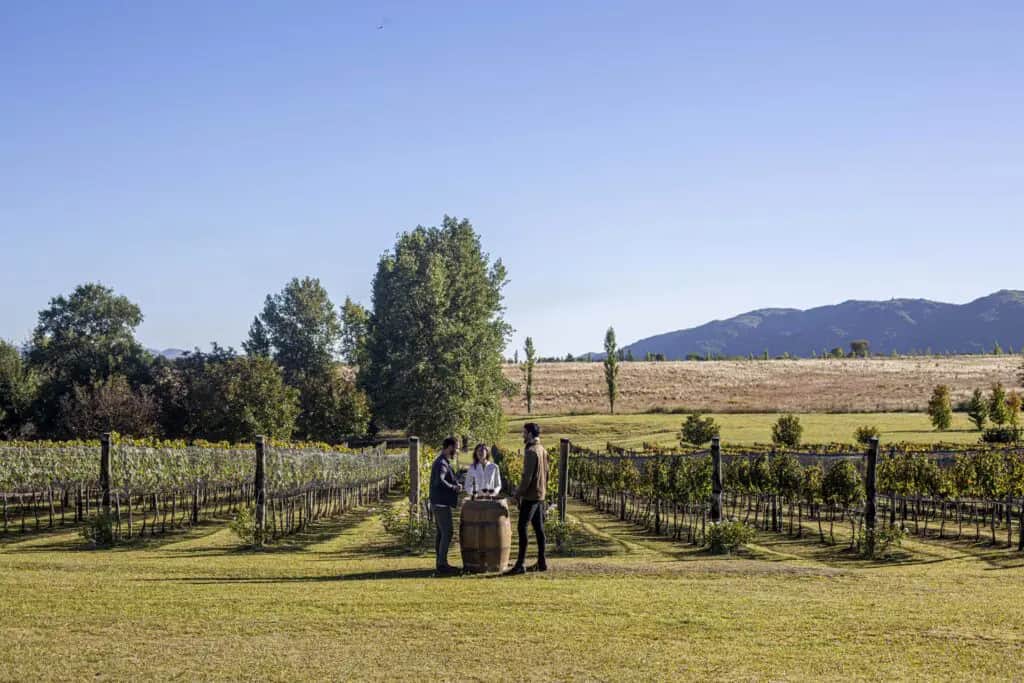 “Destino Brindis” debuta este martes: un viaje por Córdoba entre paisajes, sabores y vinos