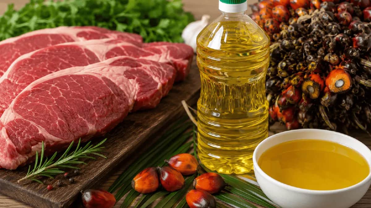 Récord para la agroindustria: 117 productos dispararon las exportaciones a u$s7.073 millones