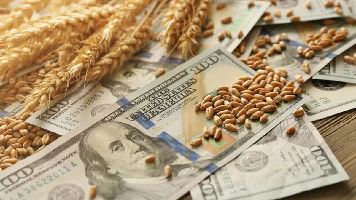 El agro liquidó u$s2.750 millones en agosto y acumula una baja del 12% en 2026