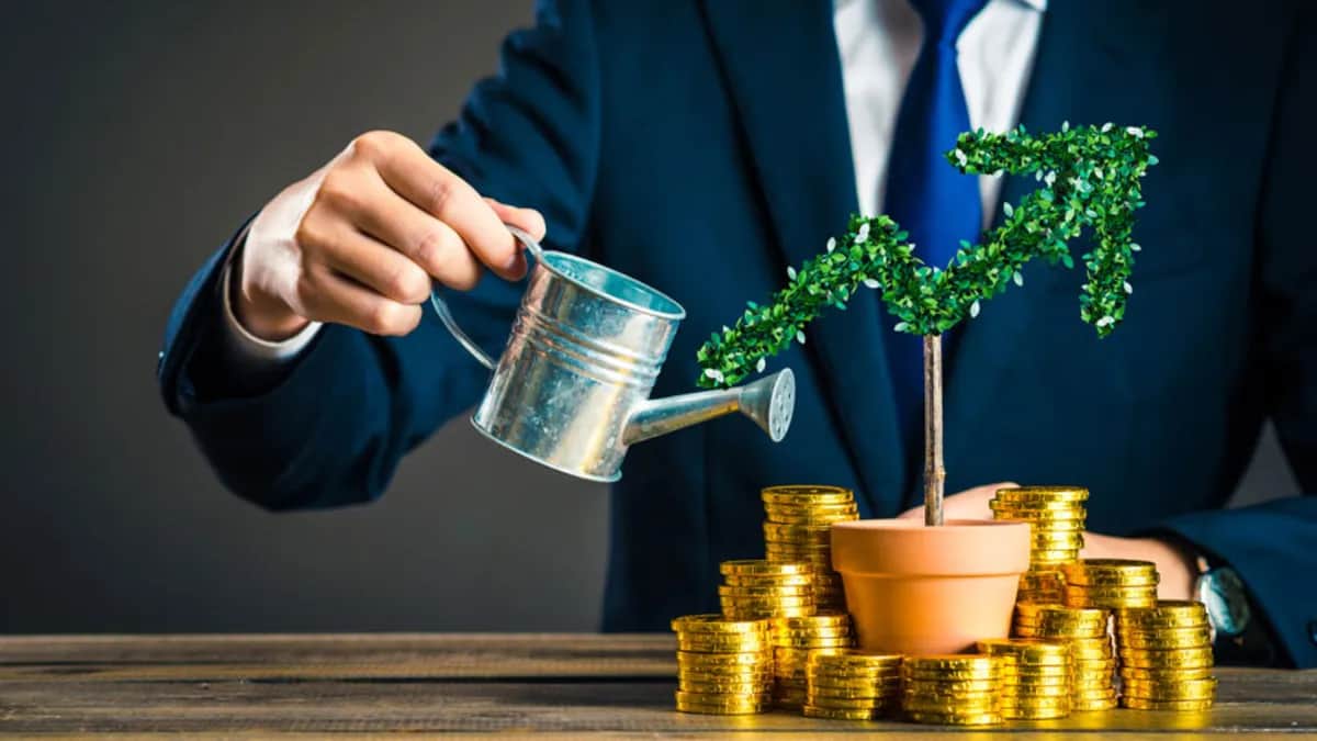 Plazo fijo en dólares: un banco actualizó sus tasas y pueden alcanzar hasta un 4,5%