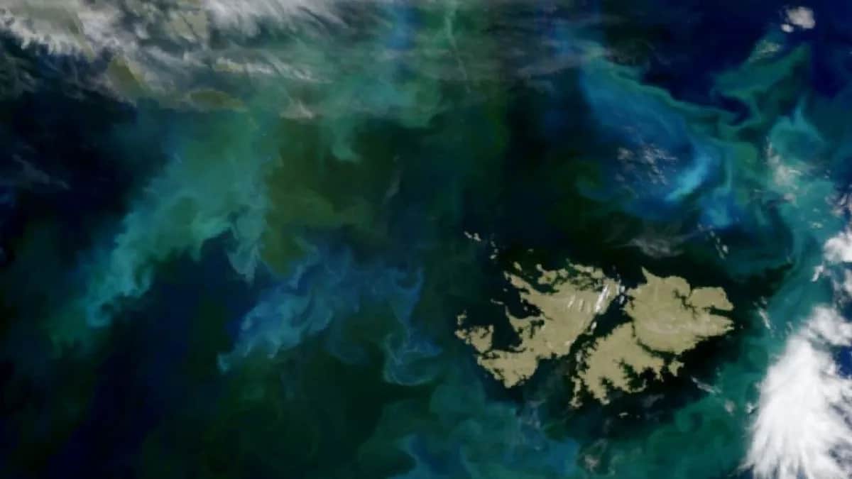 Malvinas: preparan una ronda de negocios en Punta Arenas para impulsar una cadena de suministros a las islas
