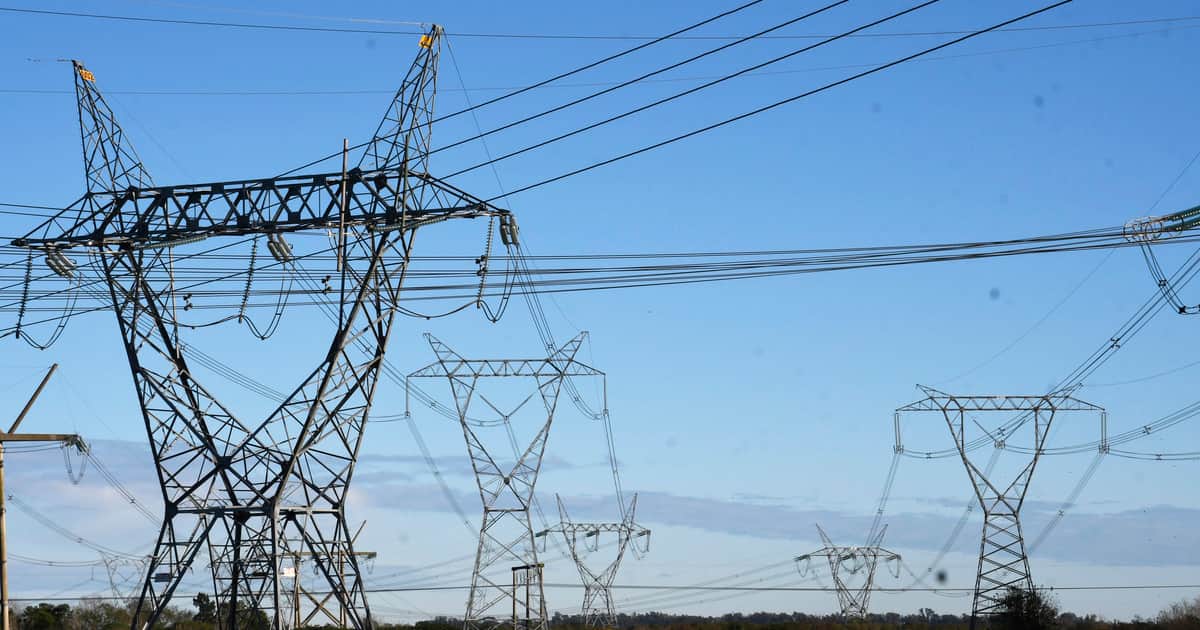 Polémica por la privatización de Transener: los Neuss y Brito cobraron el primer día las ganancias que les cedió el Estado