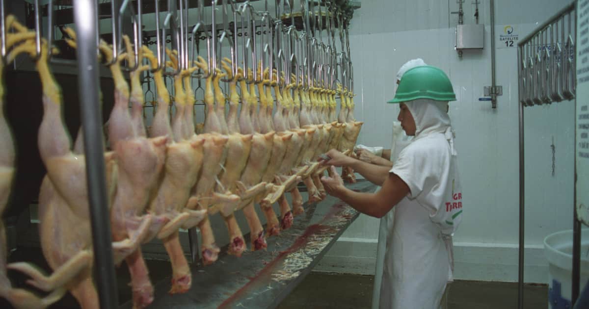 Ola de despidos en Granja Tres Arroyos: en dos días, desvinculó a 1.000 trabajadores