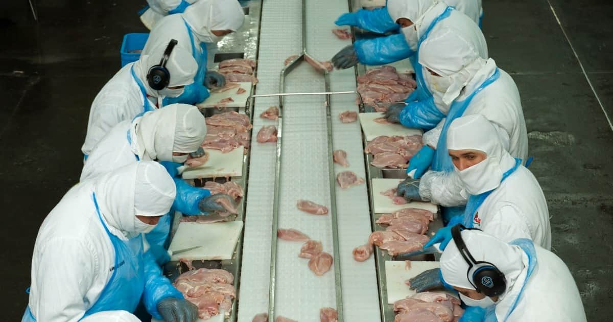 Argentina logró la reapertura para exportar para carne aviar y ovoproductos a uno de los principales mercados mundiales