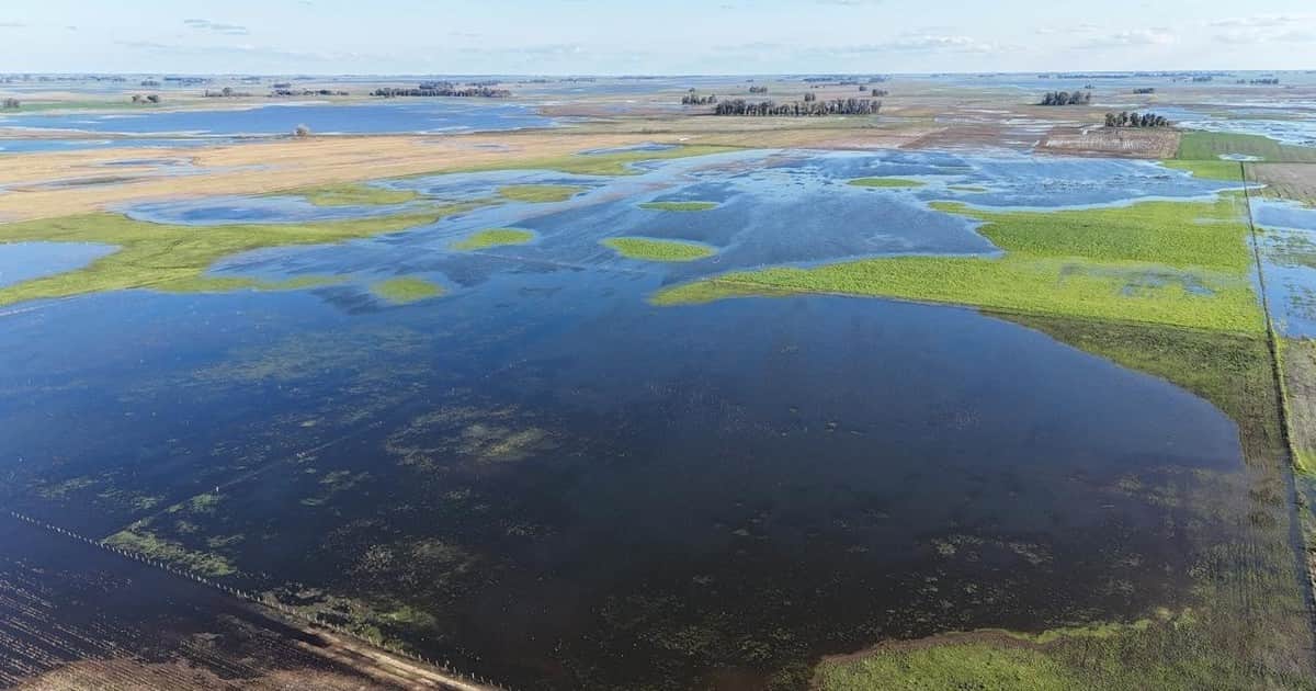 El agro en la cuerda floja: la asignatura pendiente del seguro climático