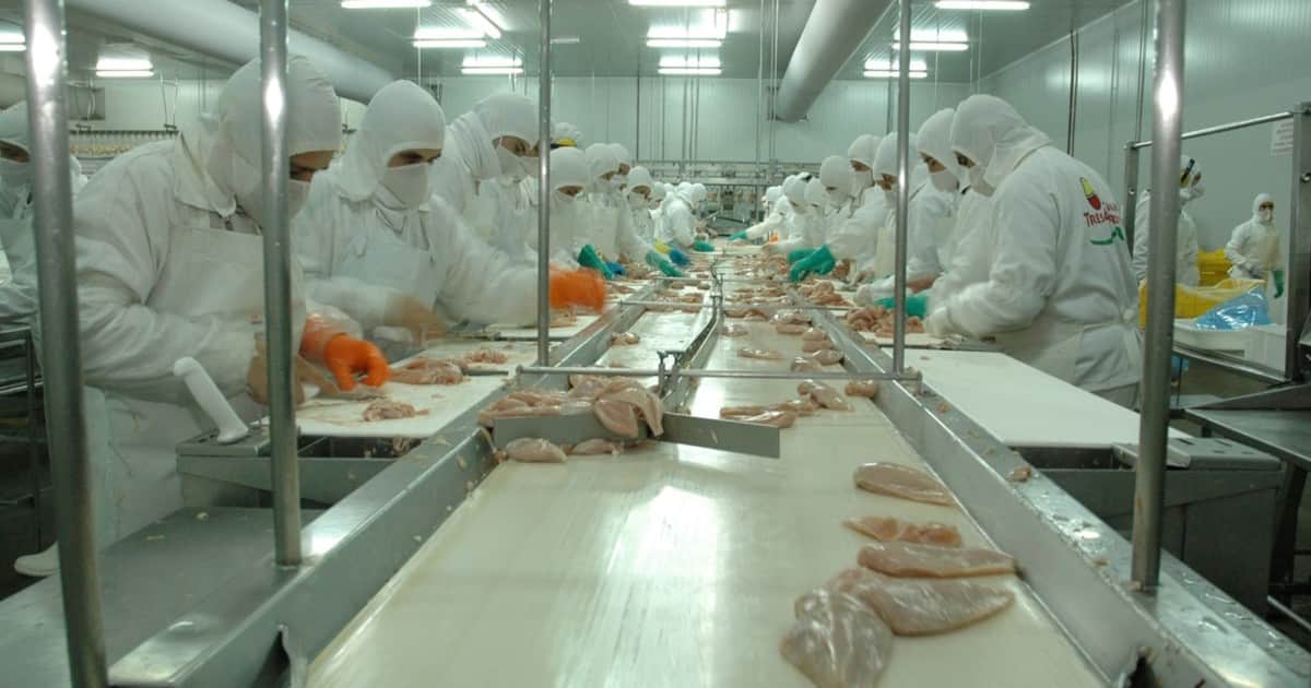 Comenzaron a llegar los telegramas: crece la incertidumbre en un pueblo bonaerense por el cierre de una planta avícola y la posibilidad de numerosos despidos