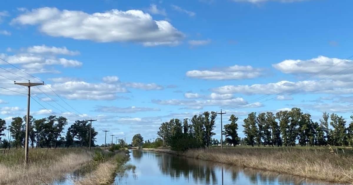 Tasa vial rural bajo la lupa: la Justicia le ordenó a Rojas explicar cuánto recauda y qué hace con los fondos