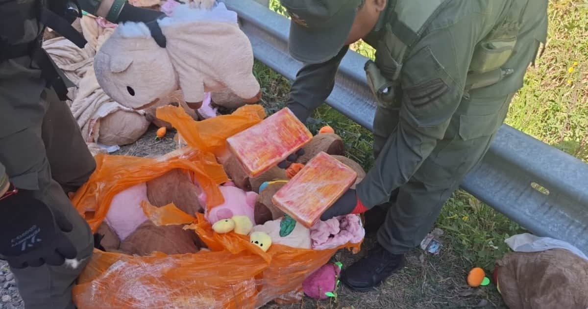 Narcopeluches: descubren un cargamento de marihuana y cocaína escondido dentro de carpinchos de peluche