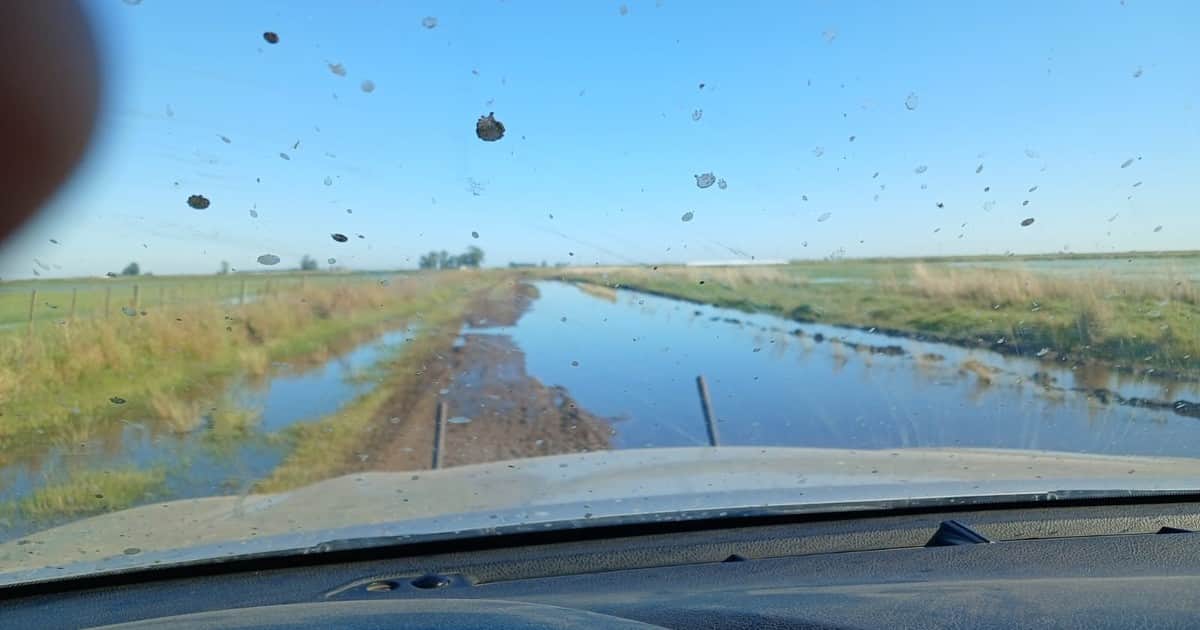 Tras un fallo que ordena a un municipio arreglar un camino rural, productores planean acciones colectivas para lograr el mantenimiento vial del partido