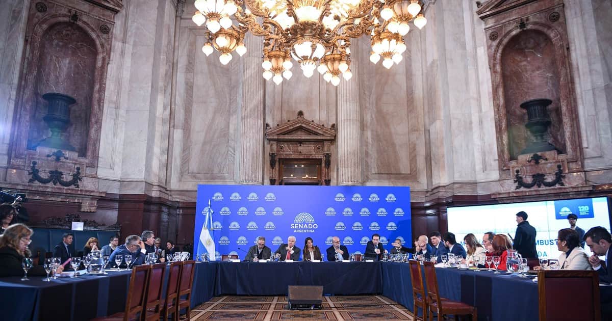 Tras los cambios en el proyecto oficial, hubo dictamen para el nuevo marco regulatorio de la ley de Biocombustibles