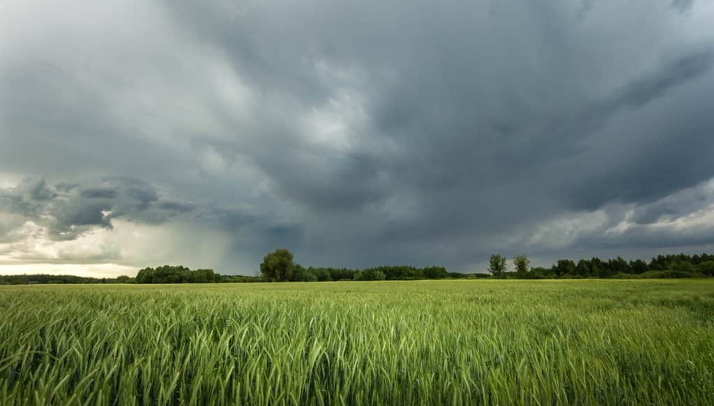 Clima en La Rioja: Despejado el pronóstico para hoy, 28 de agosto