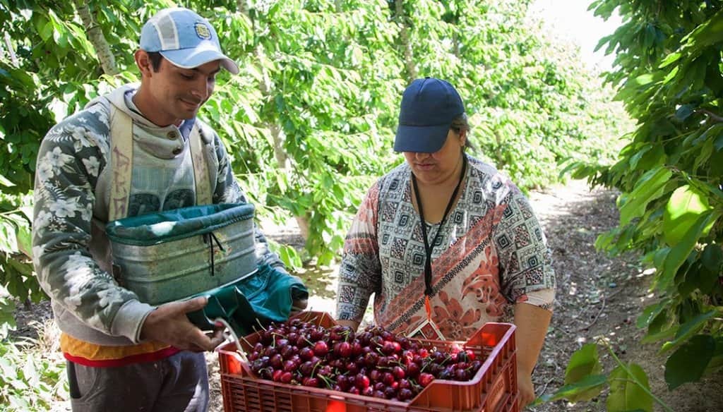 Alerta de la UATRE: “120.000 trabajos rurales en peligro por la falta de respuesta del Gobierno”