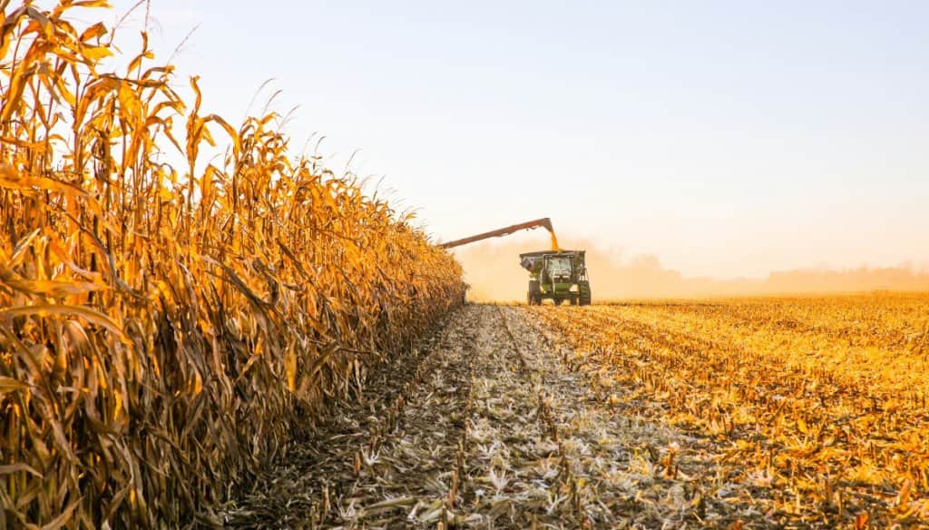 La actividad agropecuaria marca un récord en Argentina, impulsada por la cosecha histórica