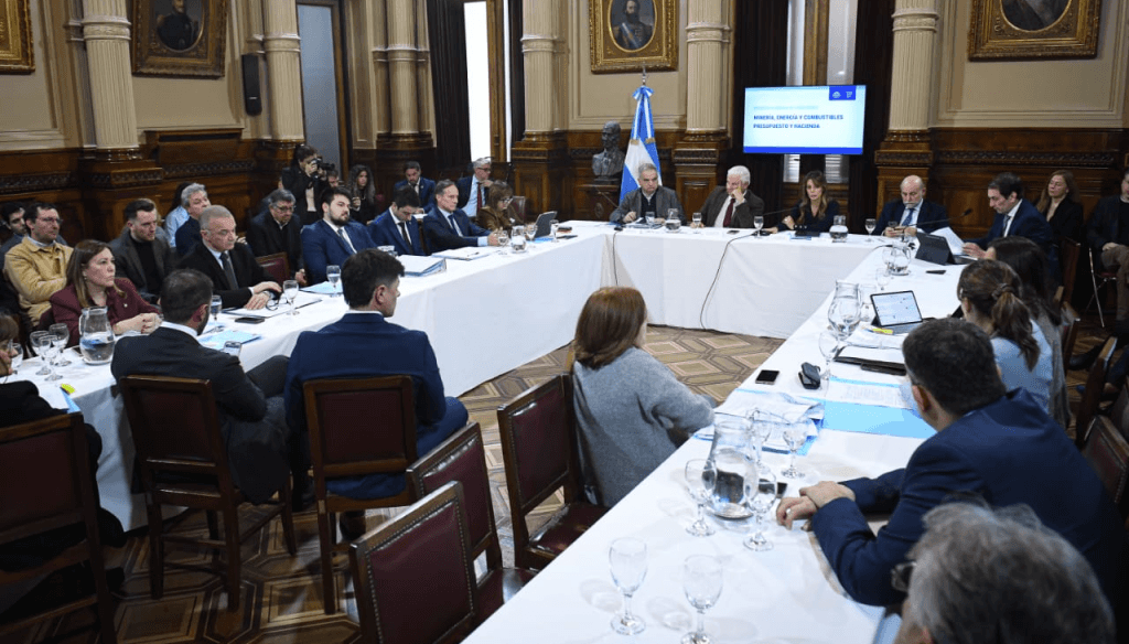 Biocombustibles: “Lo que falta no es información, es voluntad política para cerrar el tema”